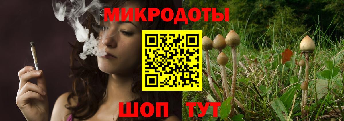 Псилоцибиновые грибы GOLDEN TEACHER  Вход с VPN  Братск 